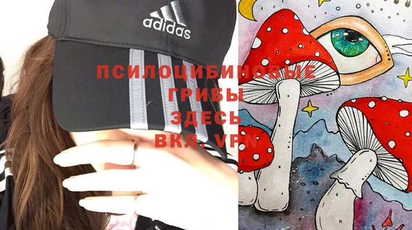 spice Балабаново