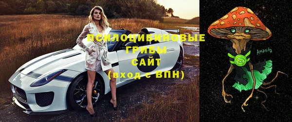 spice Балабаново
