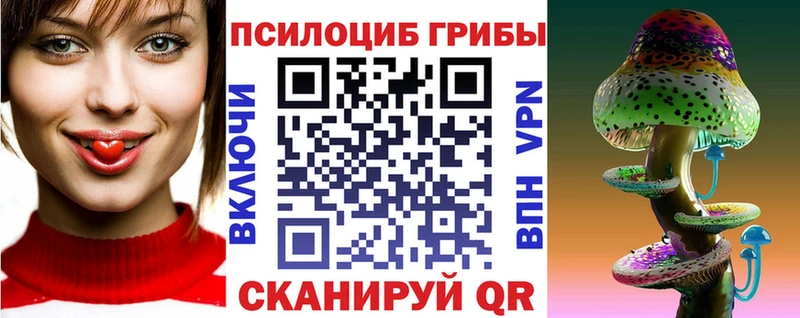 Псилоцибиновые грибы Cubensis Губаха